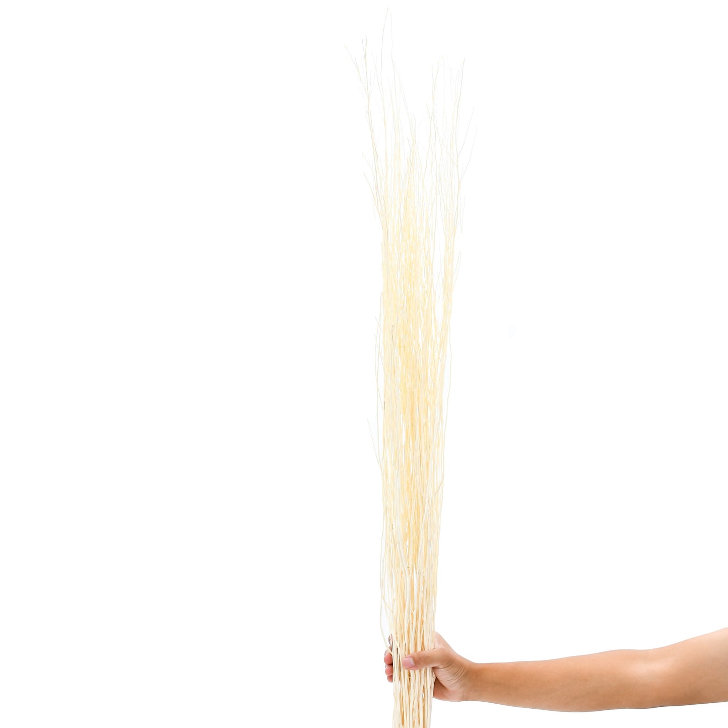 2-Pack Rattan Sticks for Floor Vases – Natural Decorative Twigs ( 8 per Bundle), ecru, Rattan Branches