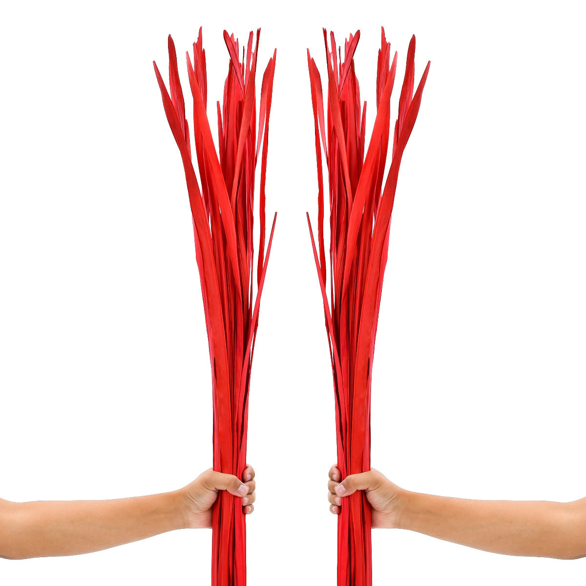 2-Pack Rattan Sticks for Floor Vases – Natural Decorative Twigs ( 8 per Bundle), red, Palm Leaf