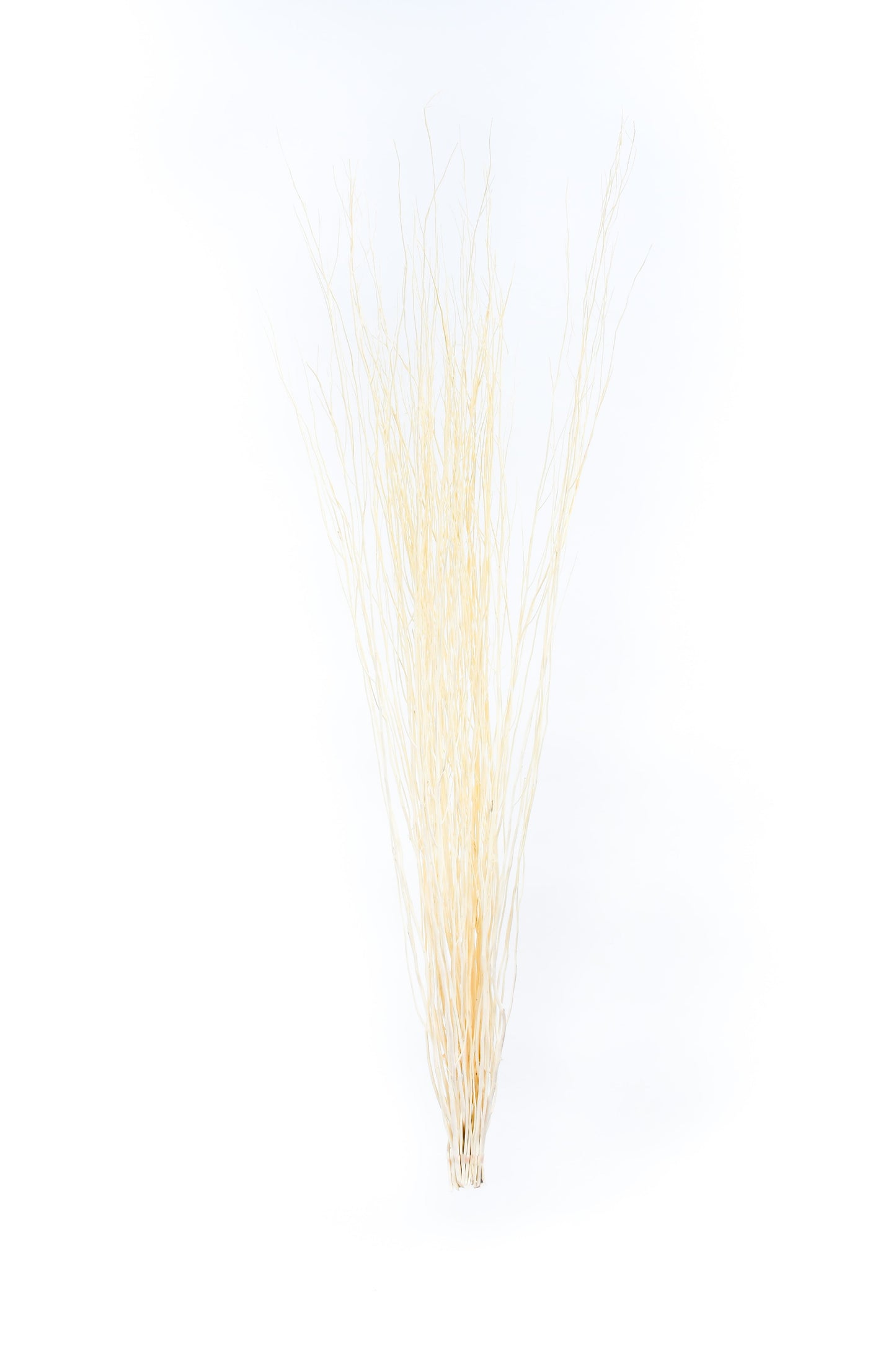 Lot de 2 Bottes de Branches en Rotin pour Vases de Sol – 8 Tiges par Botte