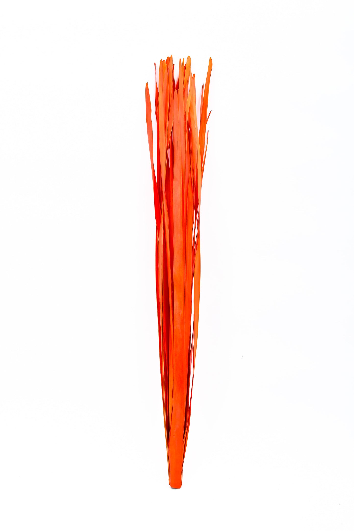 Lot de 2 Bottes de Branches en Rotin pour Vases de Sol – 8 Tiges par Botte