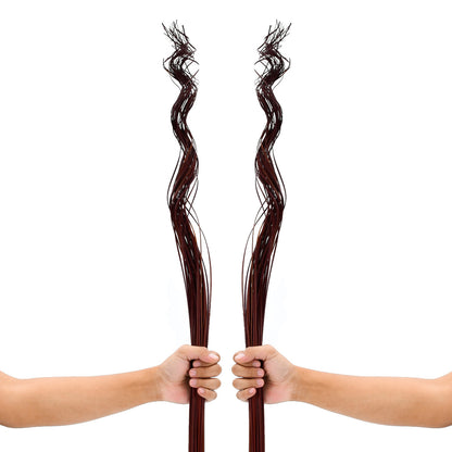 2-Pack Rattan Sticks for Floor Vases – Natural Decorative Twigs ( 8 per Bundle), bordeaux, Branches