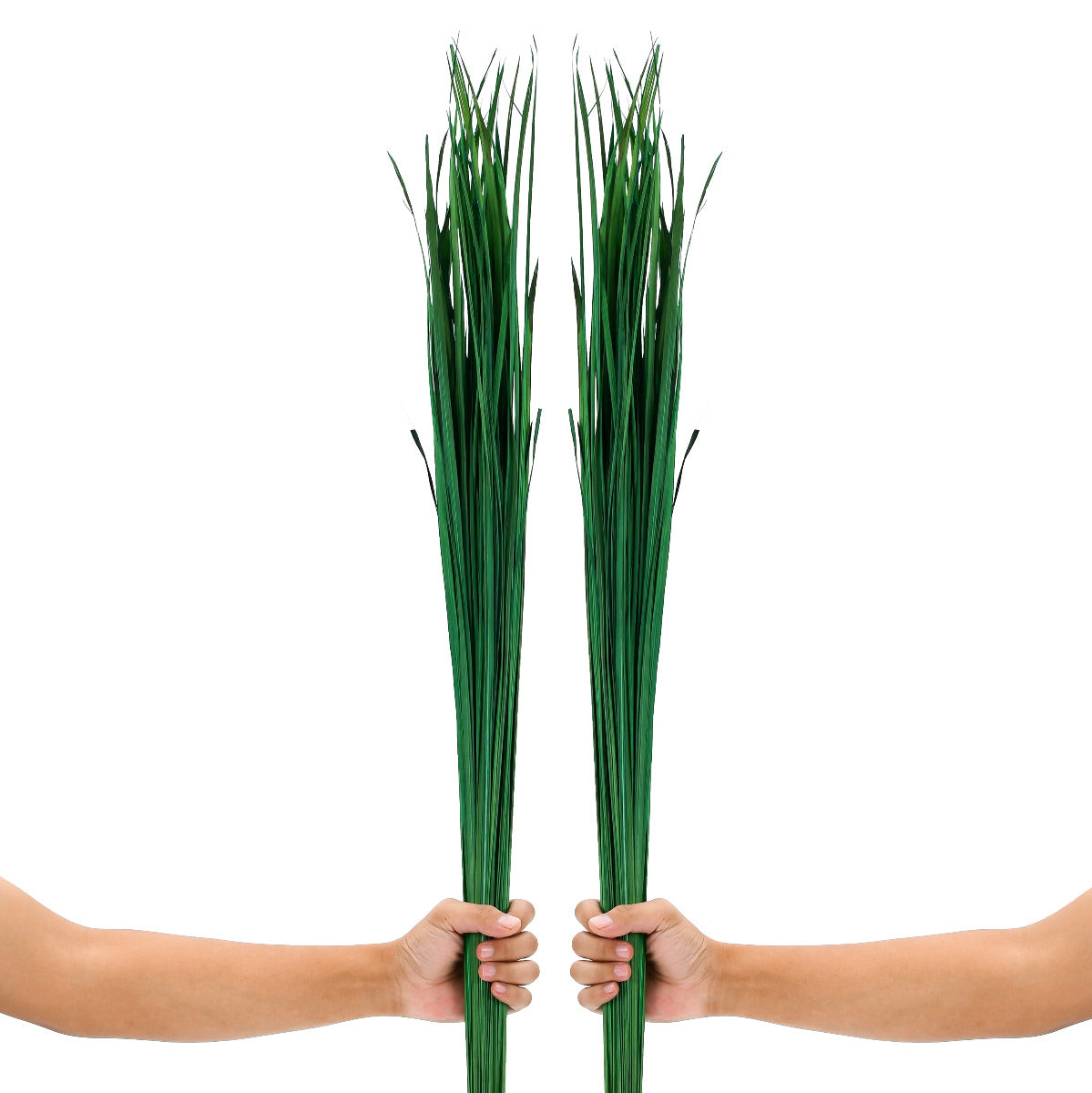 2-Pack Rattan Sticks for Floor Vases – Natural Decorative Twigs ( 8 per Bundle), dark green, Dried Grass