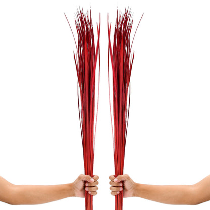 2-Pack Rattan Sticks for Floor Vases – Natural Decorative Twigs ( 8 per Bundle), red, Dried Grass