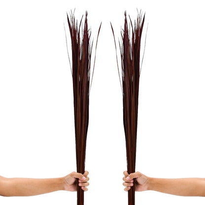 2-Pack Rattan Sticks for Floor Vases – Natural Decorative Twigs ( 8 per Bundle), bordeaux, Dried Grass