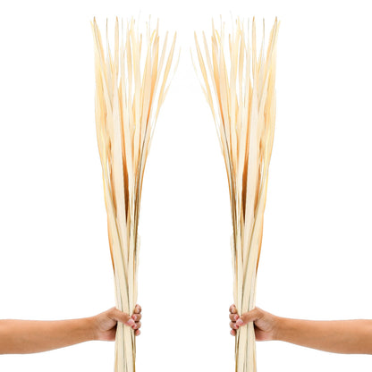 2-Pack Rattan Sticks for Floor Vases – Natural Decorative Twigs ( 8 per Bundle), ecru, Rattan Branches