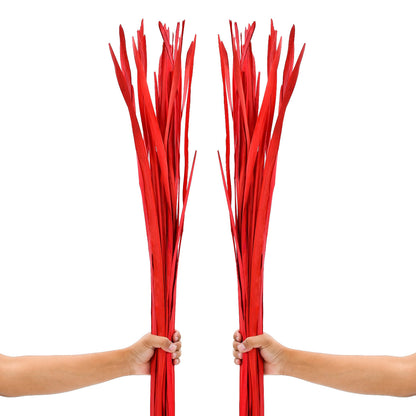 2-Pack Rattan Sticks for Floor Vases – Natural Decorative Twigs ( 8 per Bundle), red, Palm Leaf