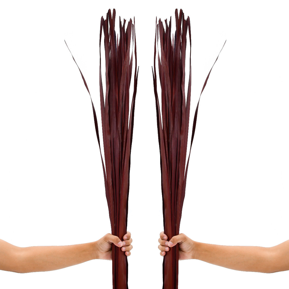 2-Pack Rattan Sticks for Floor Vases – Natural Decorative Twigs ( 8 per Bundle), bordeaux, Palm Leaf