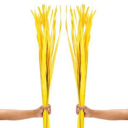 2-Pack Rattan Sticks for Floor Vases – Natural Decorative Twigs ( 8 per Bundle), yellow, Palm Leaf