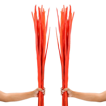 2-Pack Rattan Sticks for Floor Vases – Natural Decorative Twigs ( 8 per Bundle), orange, Palm Leaf
