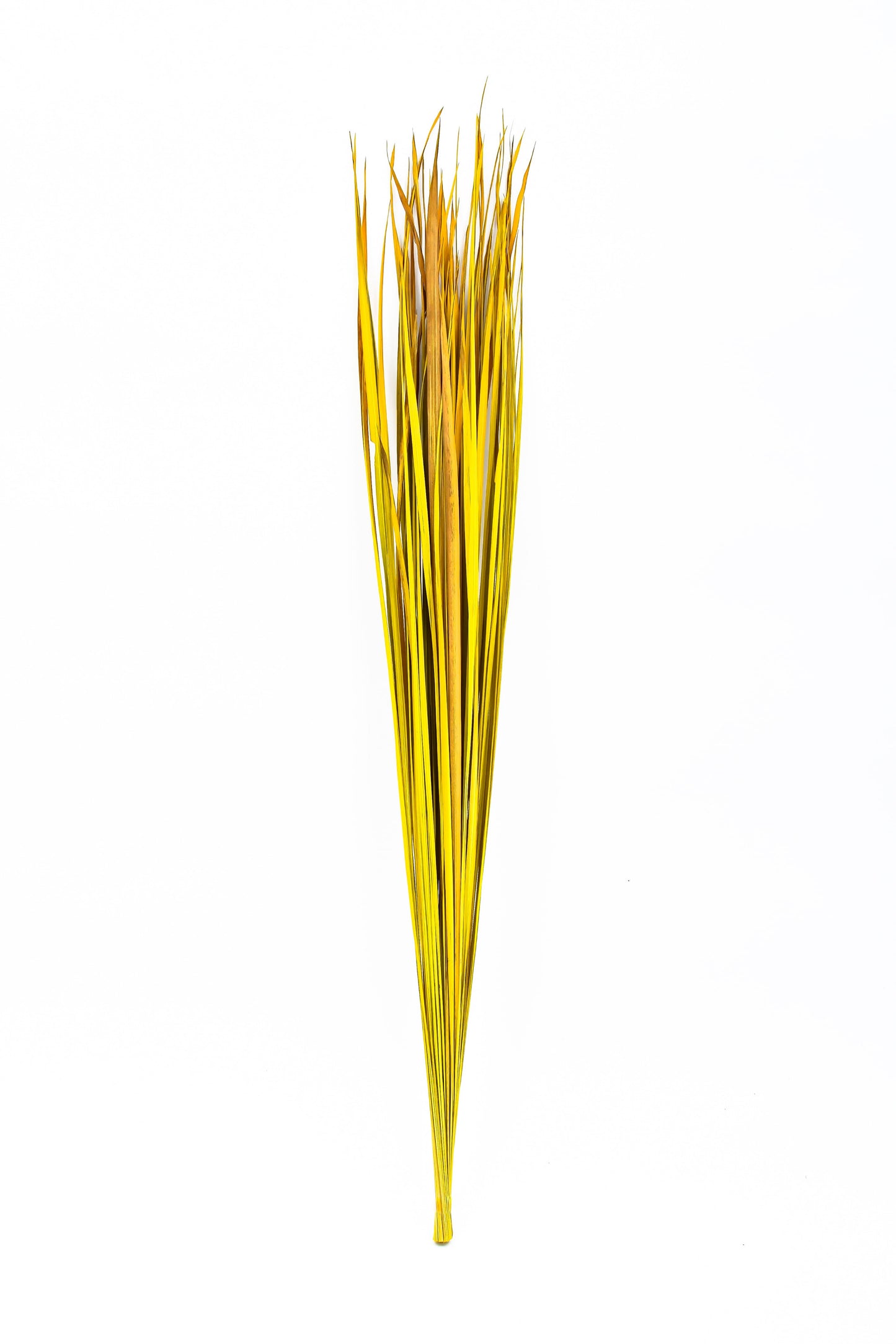 Lot de 2 Bottes de Branches en Rotin pour Vases de Sol – 8 Tiges par Botte