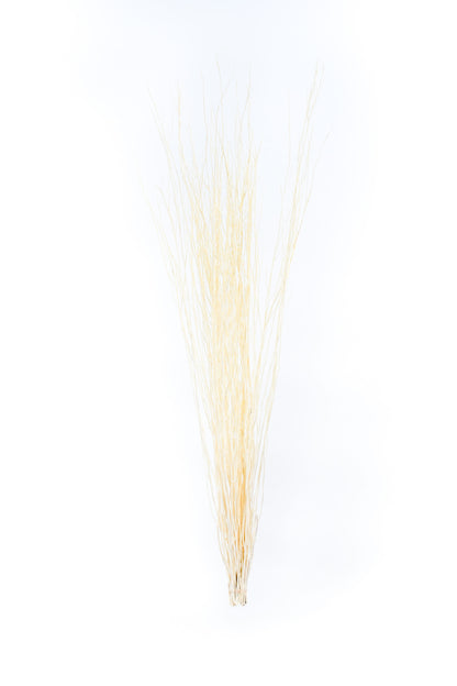 Lot de 2 Bottes de Branches en Rotin pour Vases de Sol – 8 Tiges par Botte