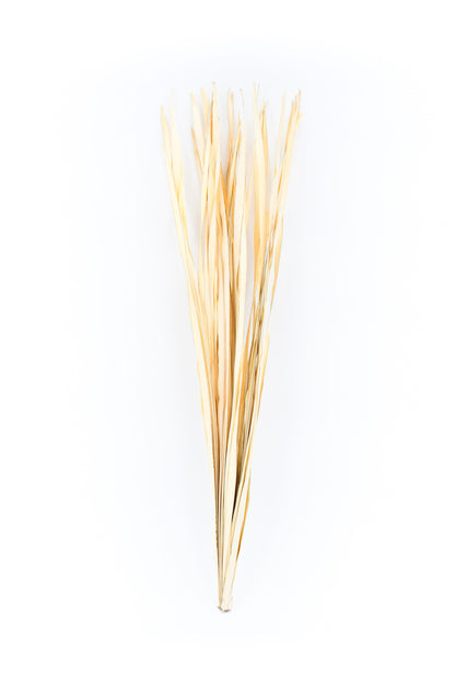 Lot de 2 Bottes de Branches en Rotin pour Vases de Sol – 8 Tiges par Botte